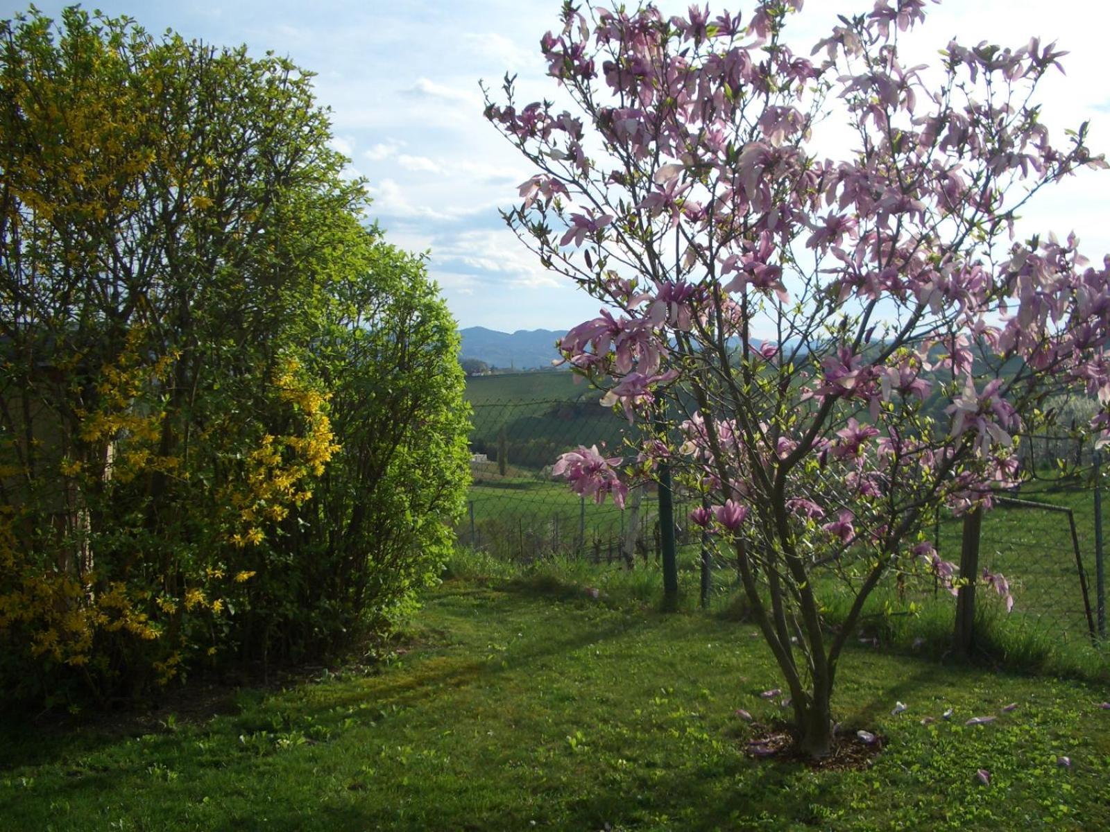 Das Weinberghaus Ratsch an der Weinstraße Eksteriør billede