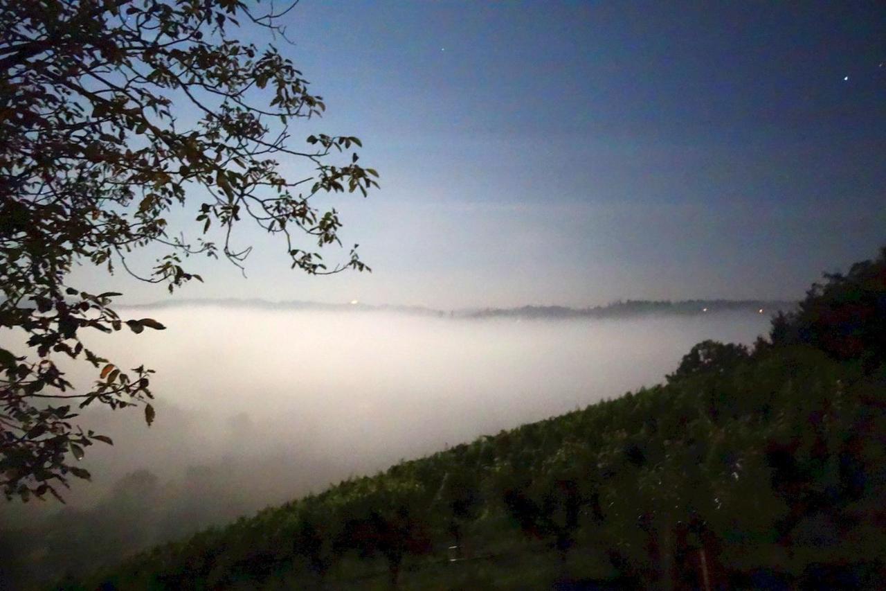 Das Weinberghaus Ratsch an der Weinstraße Eksteriør billede